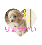 ティアラ ❶（個別スタンプ：7）