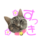お嬢ちゃんスタンプ（個別スタンプ：4）