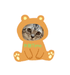 トラ吉だいすき（個別スタンプ：14）