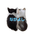 うさぎさんとねこちゃん（個別スタンプ：3）