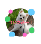 はるときな1（個別スタンプ：4）