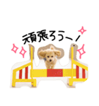 マルプーまっしゅの日常スタンプ（個別スタンプ：23）