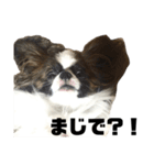こんごうくんです。（個別スタンプ：4）