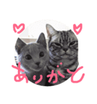 アリィの日常（個別スタンプ：1）