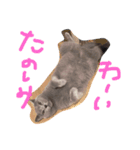 アリィの日常（個別スタンプ：2）