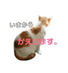 りんくんとゆりちゃんのスタンプ（個別スタンプ：6）