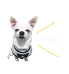ココのおはなし（個別スタンプ：7）