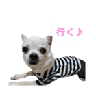 ココのおはなし（個別スタンプ：10）