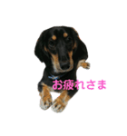 マロ好きのためのスタンプ！（個別スタンプ：10）