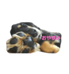 マロ好きのためのスタンプ！（個別スタンプ：19）