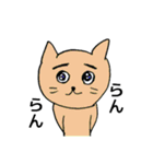 オノマトペの猫（個別スタンプ：31）