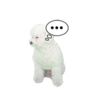 こぶた＆おーじ(Face)（個別スタンプ：7）