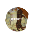 犬 らぶ2（個別スタンプ：2）