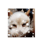 犬 らぶ2（個別スタンプ：10）