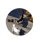 犬 らぶ2（個別スタンプ：22）