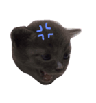 6匹の仔猫（個別スタンプ：8）