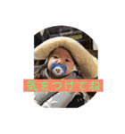 たいぴっぴちゃん（個別スタンプ：4）