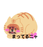 ポメラニアンジーニー（個別スタンプ：2）
