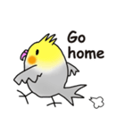 オカメインコ ミニ（個別スタンプ：5）