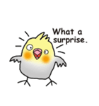 オカメインコ ミニ（個別スタンプ：8）