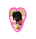 愛犬♡モカちゃん（個別スタンプ：2）