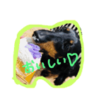 愛犬♡モカちゃん（個別スタンプ：4）