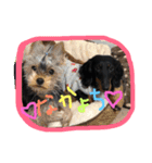 愛犬♡モカちゃん（個別スタンプ：8）