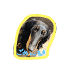 愛犬♡モカちゃん（個別スタンプ：12）