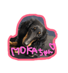 愛犬♡モカちゃん（個別スタンプ：13）