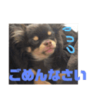ダグちゃん1（個別スタンプ：4）