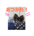 ダグちゃん1（個別スタンプ：7）
