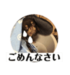 ダグちゃん1（個別スタンプ：10）