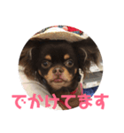ダグちゃん1（個別スタンプ：22）