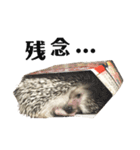 はりねずみのちくわちゃん（個別スタンプ：12）
