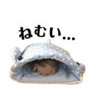 はりねずみのちくわちゃん（個別スタンプ：20）
