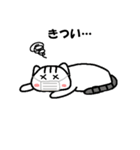 ゆるかわにゃす（個別スタンプ：24）