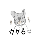 フレンチブルドッグの事情（個別スタンプ：3）