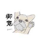 フレンチブルドッグの事情（個別スタンプ：7）