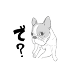 フレンチブルドッグの事情（個別スタンプ：9）