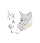 フレンチブルドッグの事情（個別スタンプ：10）