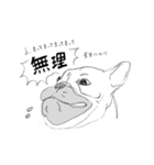 フレンチブルドッグの事情（個別スタンプ：11）