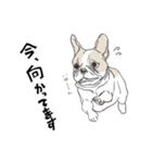 フレンチブルドッグの事情（個別スタンプ：14）