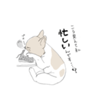 フレンチブルドッグの事情（個別スタンプ：20）