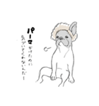 フレンチブルドッグの事情（個別スタンプ：23）