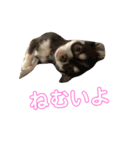 めんとろ（個別スタンプ：2）
