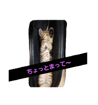 もりりんーもんろー（個別スタンプ：4）