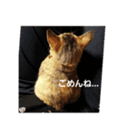 もりりんーもんろー（個別スタンプ：9）
