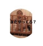スタンプがっちゃん@（個別スタンプ：4）