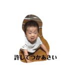 スタンプがっちゃん@（個別スタンプ：10）
