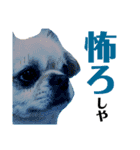 リッツ 3（個別スタンプ：3）